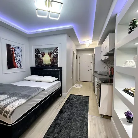 Διαμέρισμα Luxury 1plus 0 With Free Parking Κωνσταντινούπολη